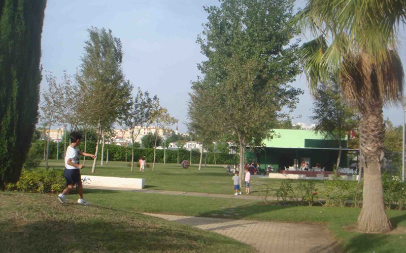 19